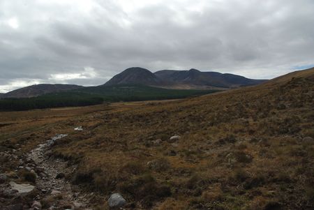 the trail ends in peat and bog