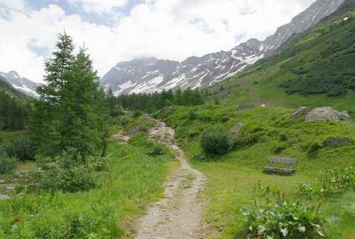 hiking path