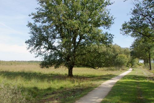 bike path