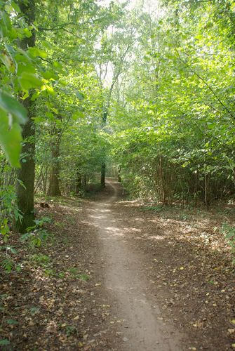 bike path