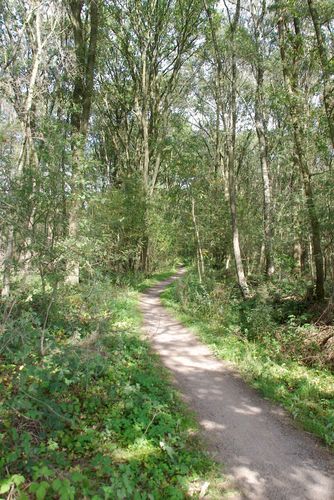 bike path