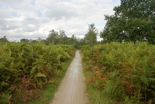 bike path