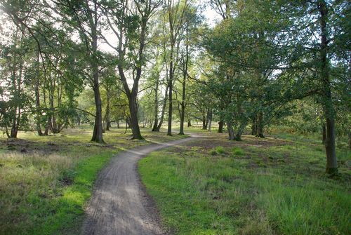 bike path