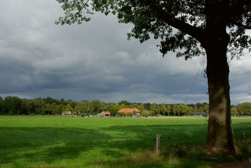 boerderij