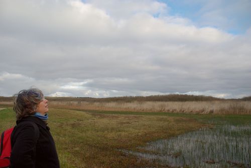 Laura in duinlandschap