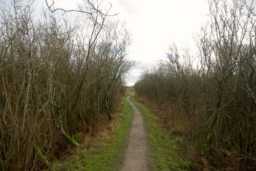 hiking trail