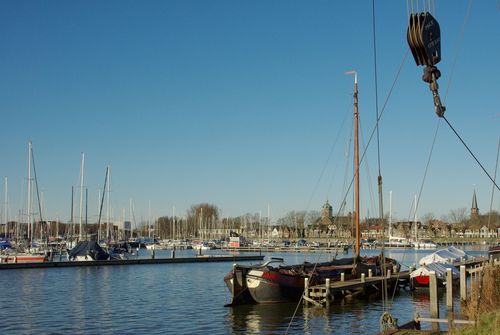 Hoorn