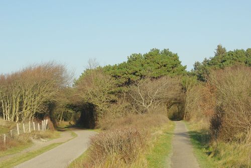 hiking trail