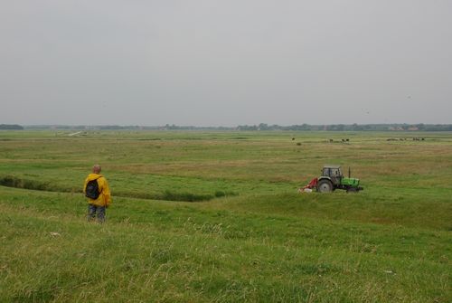 Terschelling