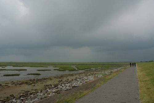 Terschelling