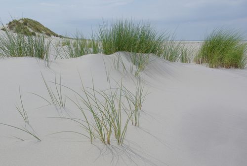 Terschelling