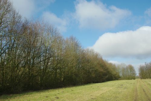 Westerlee