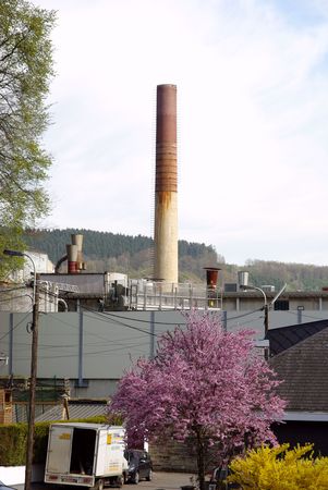 factory and blossoms