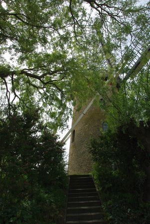 mill outside the village