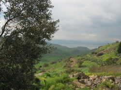 Golan-hoogvlakte